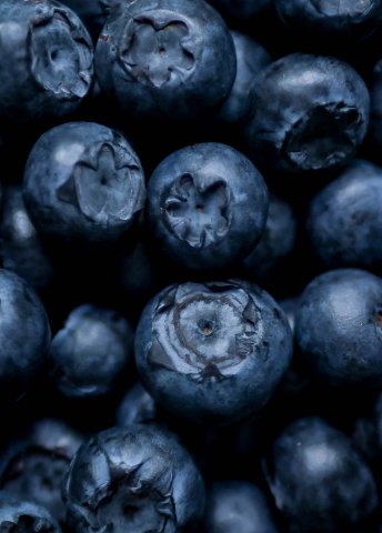 Blueberry