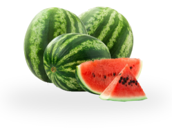 watermelon fruit